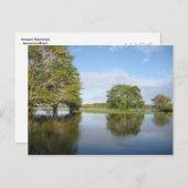 アマゾンの熱帯雨林。 ポストカード (正面/裏面)