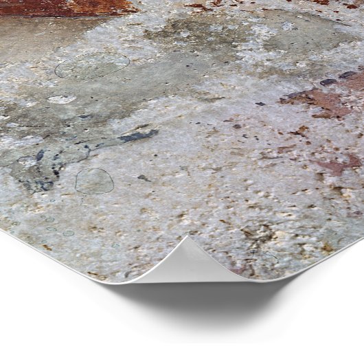 アマゾンの石棺 ポスター (角)