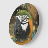 アマゾンの青と黄のマコー ラージ壁時計 (傾斜)