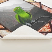 アマゾンインコのアルド シェルパブランケット (3/4)