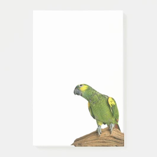 アマゾン後it®ノート4 x 6 ポストイット (正面)