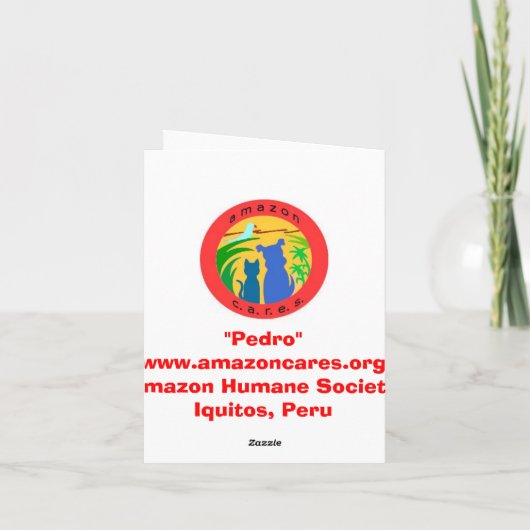 アマゾン慈悲深い社会の"ペドロ"のメッセージカード カード (裏面)