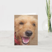 アマゾン慈悲深い社会の"ペドロ"のメッセージカード カード (正面)