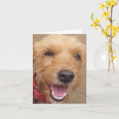 アマゾン慈悲深い社会の"ペドロ"のメッセージカード カード (黄色い花)