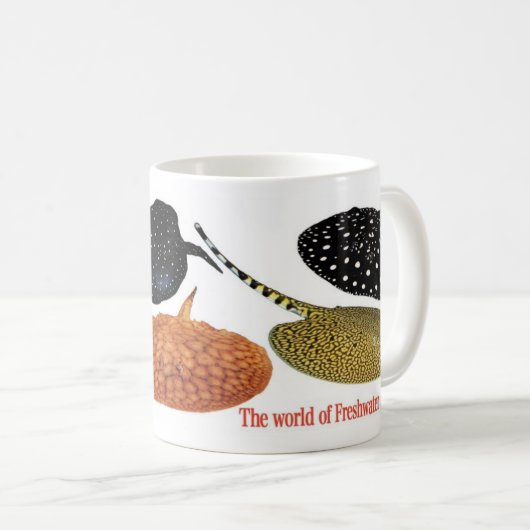 アマゾン淡水エイ コーヒーマグカップ (正面右)