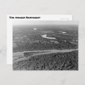 アマゾン熱帯雨林のヴィンテージ写真 ポストカード (正面/裏面)