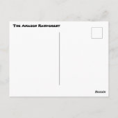 アマゾン熱帯雨林のヴィンテージ写真 ポストカード (裏面)