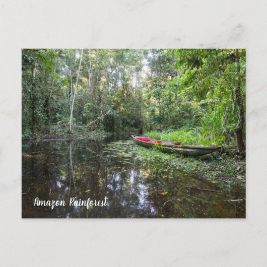 アマゾン雨林の郵便はがき ポストカード (正面)
