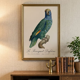 アマゾン青頬インコ、Amazona dufresniana フォトプリント