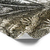 アマゾーン族の原始林のインテリア ポスター (角)