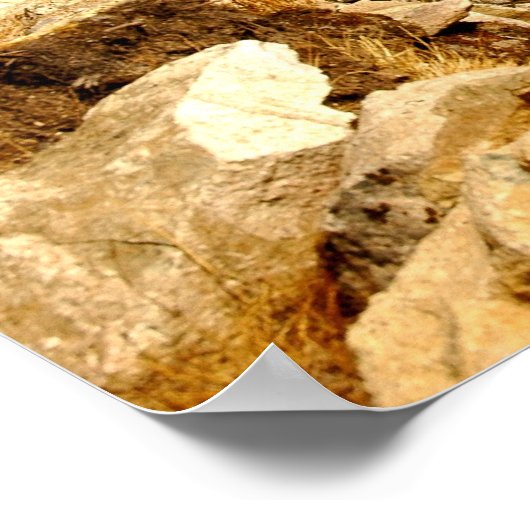 アマダブラム ポスター (角)