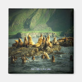 アマックアイランドシーライオンズ マグネット (正面)