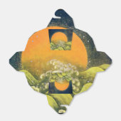 アマテラスサン女神イエローブラックグリーン フェイバーボックス (折り畳みなし)