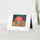 アマテラス太陽女神 赤 黄色 黒 茶色 緑 シーズンカード (裏面)