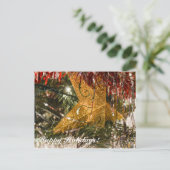 アマナ・コロニーのポストカードからのハッピーホリデー シーズンポストカード (スタンド正面)