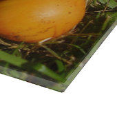 アマニタカエサリアマッシュルームガラスチョッピングボード カッティングボード (角)