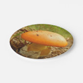 アマニタシーザレアキノコ紙プレート ペーパープレート (アングル)