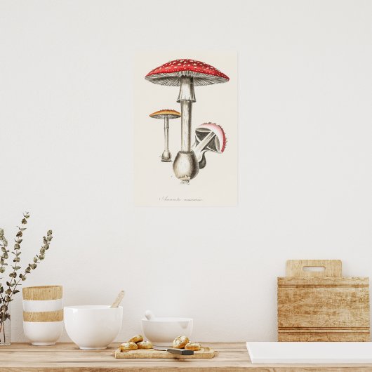 アマニタムスカリアマッシュルームイラストレーション( ポスター (キッチン)