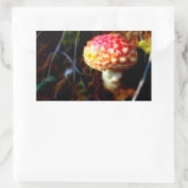 アマニタムスカリア – フライアンアガリン – 魔法キノコ 長方形シール (バッグ)