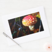 アマニタムスカリア – フライアンアガリン – 魔法キノコ 長方形シール (封筒)