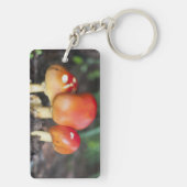 アマニタ科キノコ キーホルダー (裏面)