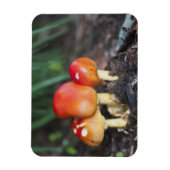 アマニタ科キノコ マグネット (縦)