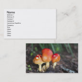 アマニタ科キノコ 名刺 (正面/裏面)