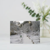 アマネーネバド ポストカード (スタンド正面)