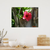 アマポラエナモラダデルパルマール ポスター (キッチン)