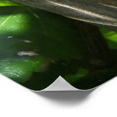 アマポラエナモラダデルパルマール ポスター (角)