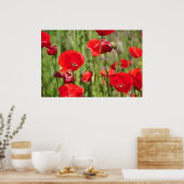 アマポラス ポスター (キッチン)