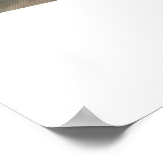 アマモ ポスター (角)