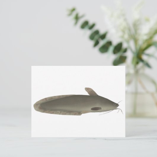 アマモ ポストカード (スタンド正面)