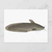 アマモ ポストカード (正面)