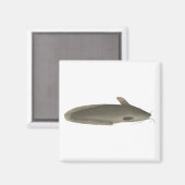 アマモ マグネット (正面/裏面)