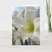 アマリリスとダフォジル宗教復活祭 シーズンカード (正面)