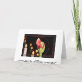 アマリリスのクリスマス シーズンカード (裏面)