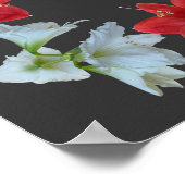 アマリリスのフレーム内のビーズ ポスター (角)