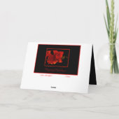 アマリリスの休日カード シーズンカード (裏面)