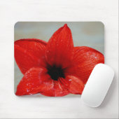 アマリリスの花とその意味 マウスパッド (マウス)