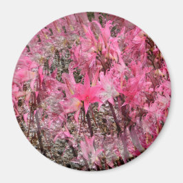 アマリリスの花束….. マグネット