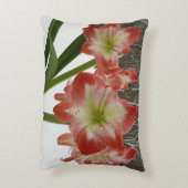 アマリリスインスノーレッドホリデーウィンターフローラ アクセントクッション (裏面(縦))
