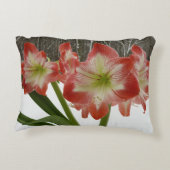 アマリリスインスノーレッドホリデーウィンターフローラ アクセントクッション (裏面)
