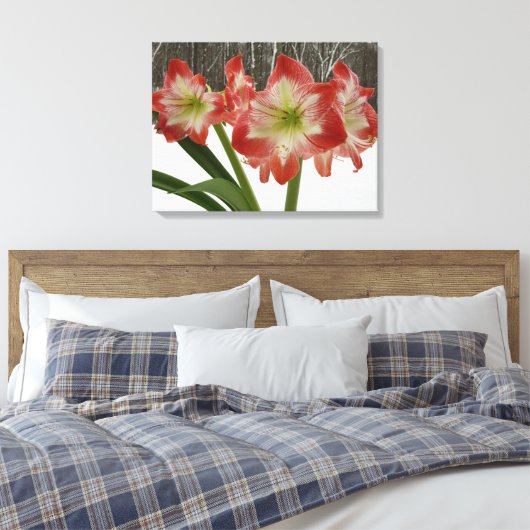 アマリリスインスノーレッドホリデーウィンターフローラ キャンバスプリント (インサイチュ (寝室))