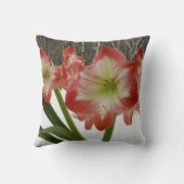 アマリリスインスノーレッドホリデーウィンターフローラ クッション (裏面)