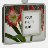 アマリリスインスノーレッドホリデーウィンターフローラ シルバープレートフレームオーナメント (右)