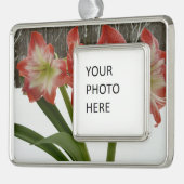 アマリリスインスノーレッドホリデーウィンターフローラ シルバープレートフレームオーナメント (左)