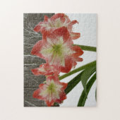 アマリリスインスノーレッドホリデーウィンターフローラ ジグソーパズル (縦)