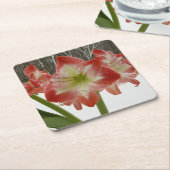 アマリリスインスノーレッドホリデーウィンターフローラ スクエアペーパーコースター (アングル)