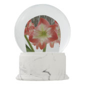 アマリリスインスノーレッドホリデーウィンターフローラ スノーグローブ (裏面)